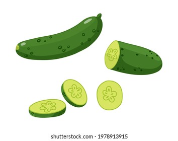 
A whole cucumber, sliced ​​cucumber pieces, half a cucumber. Flat style vector illustration isolated on white background.