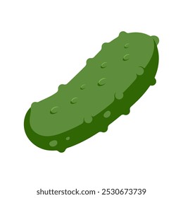 Whole cucumber vector illustration isolated on a white background.