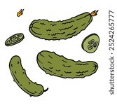 whole cucumbers and two slices with bumpy texture and green color. Vegetables, natural food doodle illustration for package, poster, menu, recipe, cookbook, banner design
