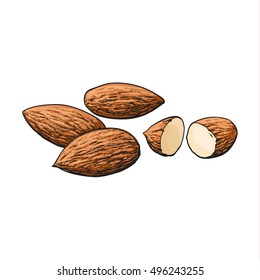 Whole And Cut Almond Nuts, Vector Illustration Isolated On White Background. Drawing Of Almonds On White Background, Delicious Healthy Vegan Snack