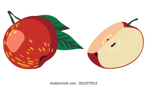 Whole and cut apple, tree fruit. Hand drawn vector illustration. Colored cartoon doodle of autumn harvest. Simple drawings isolated on white. Element for design, print, sticker, card, decoration, wrap
