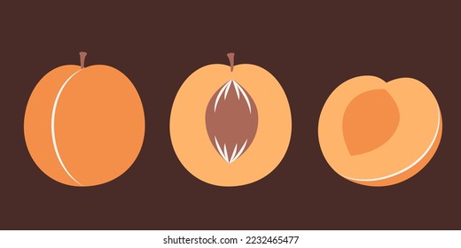 Whole and cut apricot. Sweet fruit in flat style.
