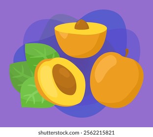 Whole and cut apricots vector illustrations set. Collection of cartoon drawings of orange fruit with leaf and seed on purplebackground. Food, fruit, nutrition, diet concept