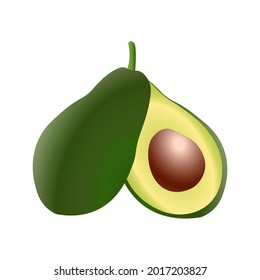 Vocado entero y cortado aislado en fondo blanco. Ilustración vectorial.