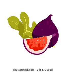 Whole and cut fig. Raw purple fruits, fresh exotic figs cartoon vector illustration