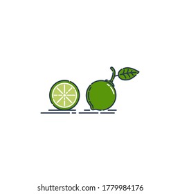 Whole and cut in half lime fruit isolated on white background. Organic product. Bright summer harvest illustration. Flat style illustration for any design. Fresh cut citrus icon. Vector.