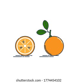 Whole and cut in half orange or tangerine fruit isolated on white background. Organic product. Bright summer harvest illustration. Flat style illustration for any design. Fresh cut citrus icon. Vector