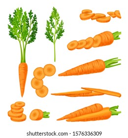 Whole and Cut into Slices Carrot Vector Set