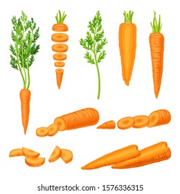 Whole and Cut into Slices Carrot Vector Set