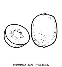 Whole and cut kiwi linear drawing on white background