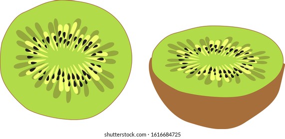 Whole and cut kiwi сolor vector illustration