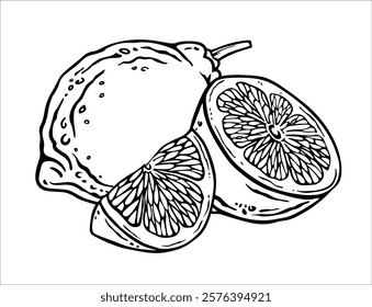 Inteiros e limões cortados. Esquema da composição dos citrinos meio e quarto. Gráfico de tinta preta e branca em estilo de gravação. Grupo isolado de lóbulos de cal ou de cítron para o desenho do rótulo