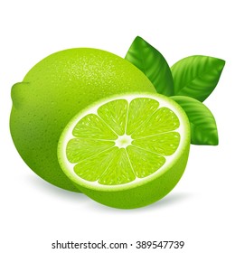 Whole and cut lime with leaf isolated on white background. Realistic vector illustration.