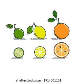 Whole and cut orange lemon and lime fruit isolated on white background. Organic product. Bright summer harvest illustration. Flat style illustration. Line art citrus icon. Fruits with leaves. Vector.
