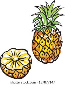 Whole and cut pineapple vector illustration