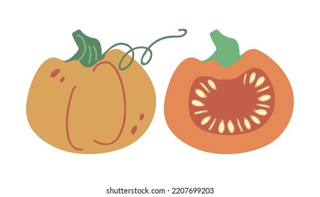 Whole and cut round orange pumpkin with seeds. Botanical illustration of a pumpkin in a flat cartoon style. The use of pumpkin in cooking. Diet vegetarian vegetable for a healthy diet.