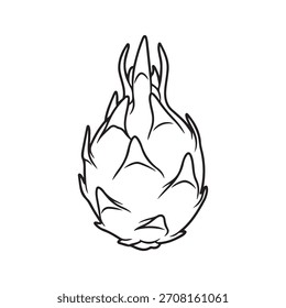 Whole dragon fruit outline vector flat illustration design