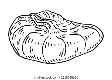 Whole dry fig. Vector black vintage engraving illustration. Isolated on white background. Hand drawn design element for label