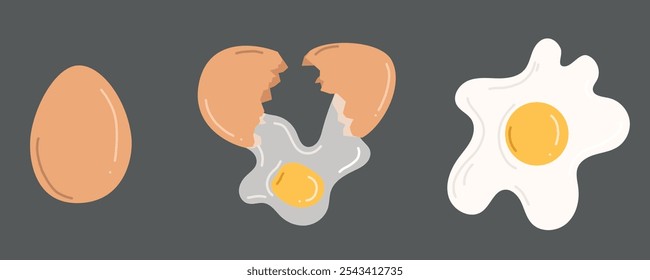 Whole egg in brown eggshell, cracked and baked with yellow yolk. Stages of cooking fried eggs. Hand drawn vector illustration in flat style. Recipe design for breakfast, meal, natural food