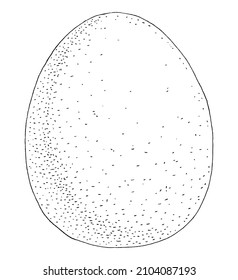 Whole egg. Vintage vector engraving black illustration. Isolated on white background. Hand drawn design