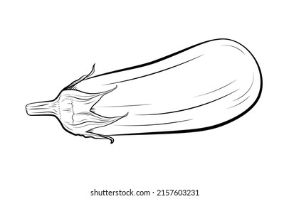 A whole eggplant isolated on white background