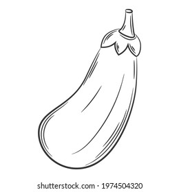 Whole eggplant. A vegetable in a linear style, drawn by hand. Food ingredient, design element. Line art. Black and white vector illustration. Isolated on a white background.