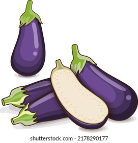 Whole eggplants and half aubergine for banners, flyers, posters, social media. Brinjal, nightshade family. Cartoon style. Organic vegetables. Vector illustration isolated on white background.