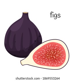 Un fruto de Fig entero y una mitad de corte con semillas y pulpa. Icono de fruta exótica. Diseño plano. Ilustración del vector de color aislada en un fondo blanco