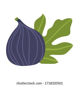 Whole figs with leaf isolated on white background. Vector illustration of fruits in a flat style. Natural sweets. Healthy food set.