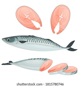 Whole, Fillet And Sliced Mackerel. Vector Illustration With Sea Fish In Cartoon Style. Steak And Pieces Of Ocean Fish Isolated On White Background.