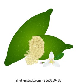 Whole finger lime and half with a flower on a white background.