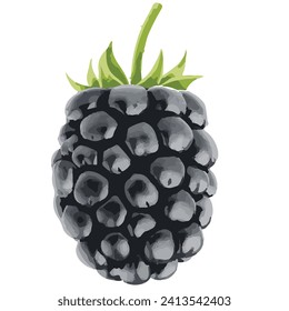 Whole Fresh BlackBerry Fruit Vector file ready to use