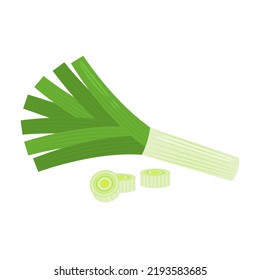 Whole fresh green leek and chopped stalk isolated on white background. Allium porrum. Healthy organic food concept. Vector vegetables illustration in flat style.
