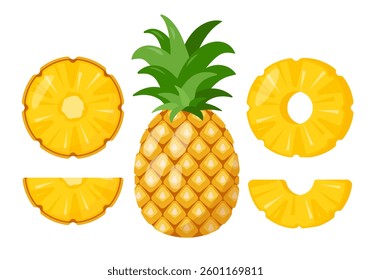 Whole fresh Pineapple tropical fruit and pieces. Organic pineapples fruits for juice, smoothie or vitamin healthy food. Vector icons illustration isolated on white background.