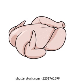 whole fresh raw chicken isolated vector