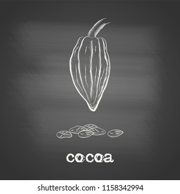 Whole fruit chocolate tree with cocoa beans - Theobroma cacao - chalk drawing on the blackboard. Hand drawn sketch in vintage engraving style. Botanical vector illustration