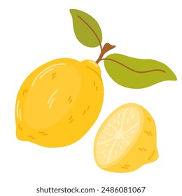 Whole fruit and half of fresh sour lemon. Composition of yellow citruses with peel and leaves. Flat vector illustration of exotic tropical fragrant food isolated on white background