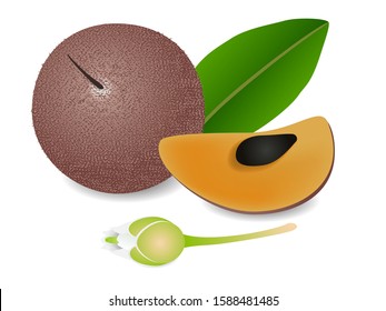 Whole fruit sapote with leaf slice and flower isolated on white background.