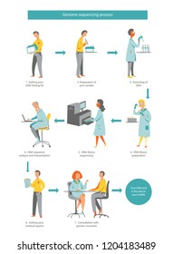 Whole Genome Sequencing Process Vector Flat Diagram Illustration, Workflow Steps For Your DNA Test