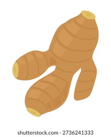 Whole Ginger Root Illustration Organic Spice Image