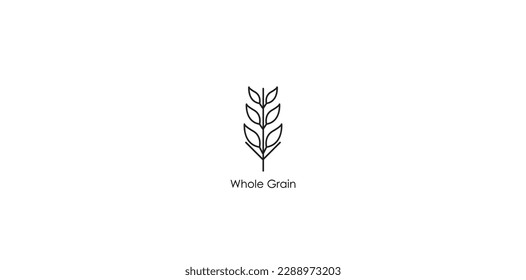 whole grain icon vector illustration 