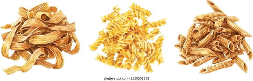 Conjunto de pasta de grano entero dibujado a mano ilustración realista de acuarela sobre fondo blanco