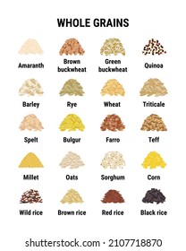 Whole grains infographic. Healthy cereal grains. Wheat, barley, brown rice, corn, buckwheat, quinoa, amaranth. Hand drawn vector illustration