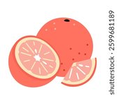 Whole grapefruit, half and slice, juicy fresh citrus fruit. Modern vector illustration isolated on white background, hand drawn, flat design