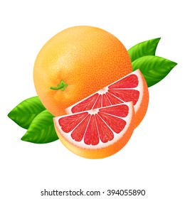 Whole grapefruit with slices isolated on white background. Realistic vector illustration.