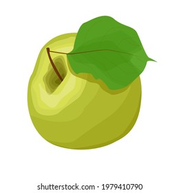 Una manzana verde entera con una hoja yace en su costado. Ilustración vectorial de una manzana verde sobre un fondo blanco aislado.