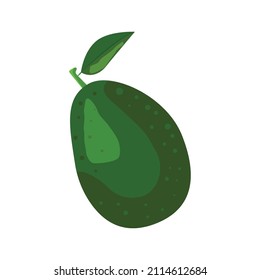 Whole Green Avocado with leaf isolated in flat style