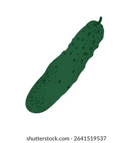 Whole green cucumber. Hand drawn vegetable in flat style. Fresh vegan food element. Vector illustration isolated on white background.