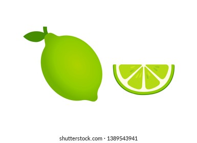 whole Green Lemon with leaf and a slice of Lemon, fruit pattern vector illustration sketch isolated on white background