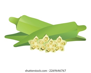 Whole green okra and slices isolated on white background. Lady finger icon. Vector vegetables illustration in flat style. Lady Finger isolated vector. 
